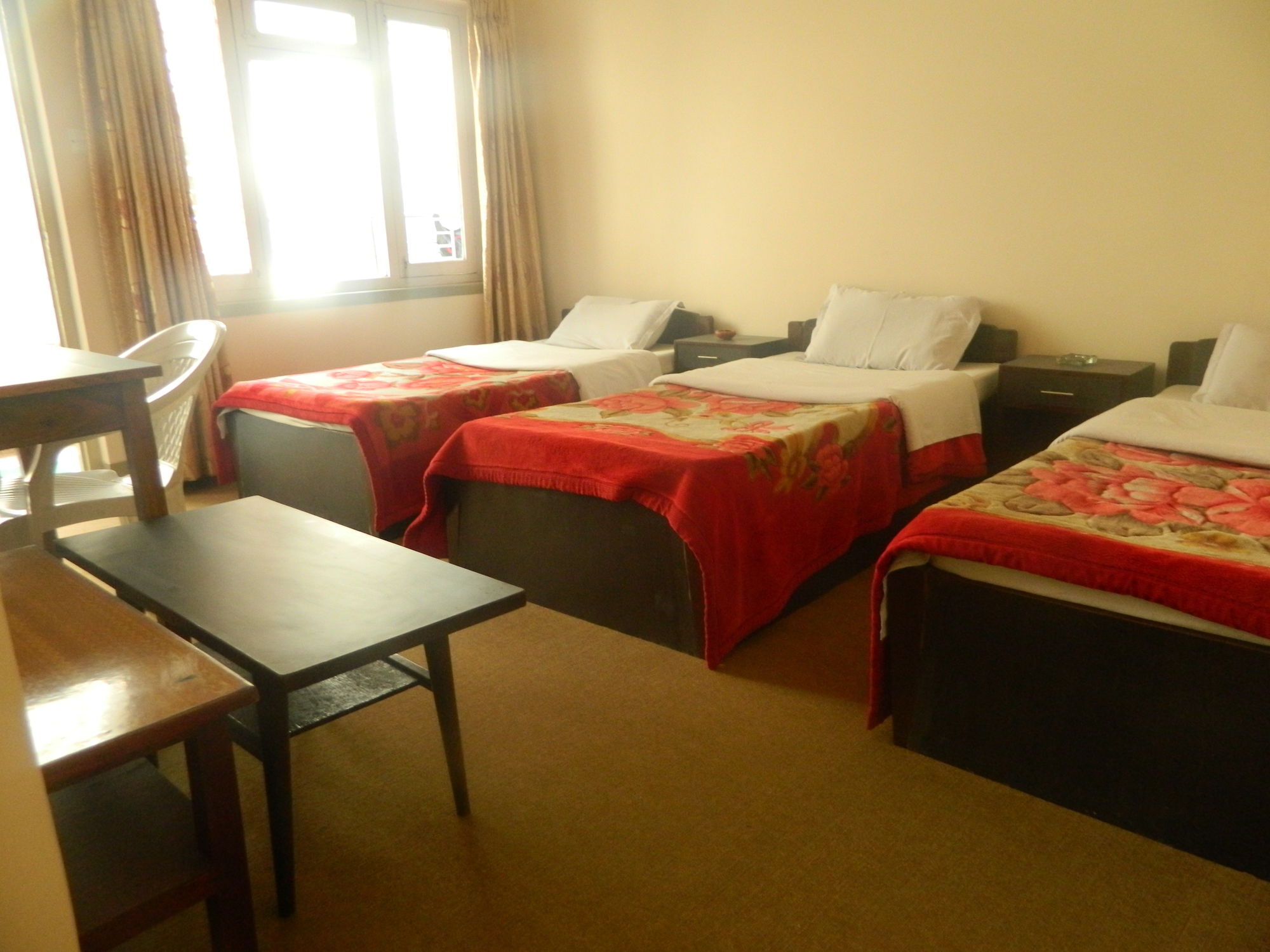 Om Tara Guest House Pvt Ltd Katmandu Eksteriør billede